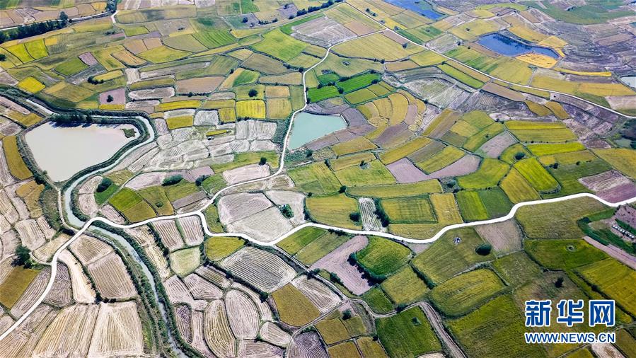 (壯闊東方潮 奮進新時代——慶祝改革開放40年·圖文互動)(1)“人民的期盼就是改革的動力”——“大包干”帶頭人寄語改革