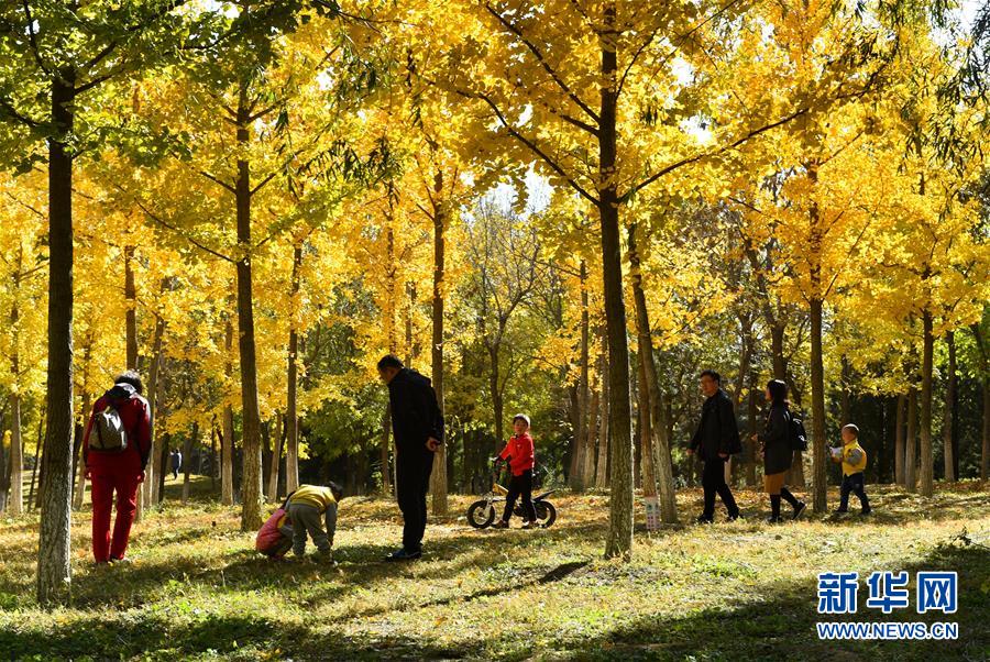 (百城百縣百企調(diào)研行·圖文互動)(2)生態(tài) 文明 宜居——北京城市副中心未來之城正在崛起