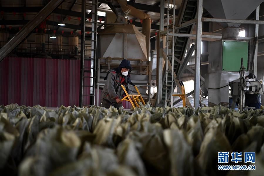 （在習近平新時代中國特色社會主義思想指引下——新時代新氣象新作為·鄉村振興戰略·圖文互動）（1）“與其放火，不如打包”——山西渾源秸稈綜合再利用見聞