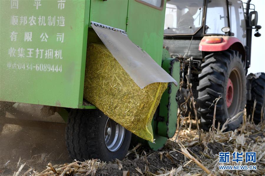 （在習近平新時代中國特色社會主義思想指引下——新時代新氣象新作為·鄉村振興戰略·圖文互動）（3）“與其放火，不如打包”——山西渾源秸稈綜合再利用見聞