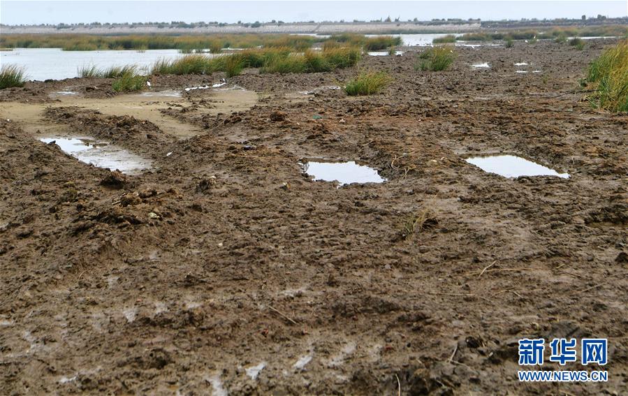 (新華視點·圖文互動)(2)福建10名黨員干部被問責的背后:7部門十余次執法未能有效制止泉州灣濕地圍墾行為