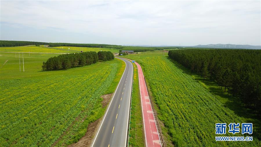 (新華全媒頭條·圖文互動)(4)那一抹綠色,走進越來越多人心里——河北塞罕壩續寫新時代綠色傳奇