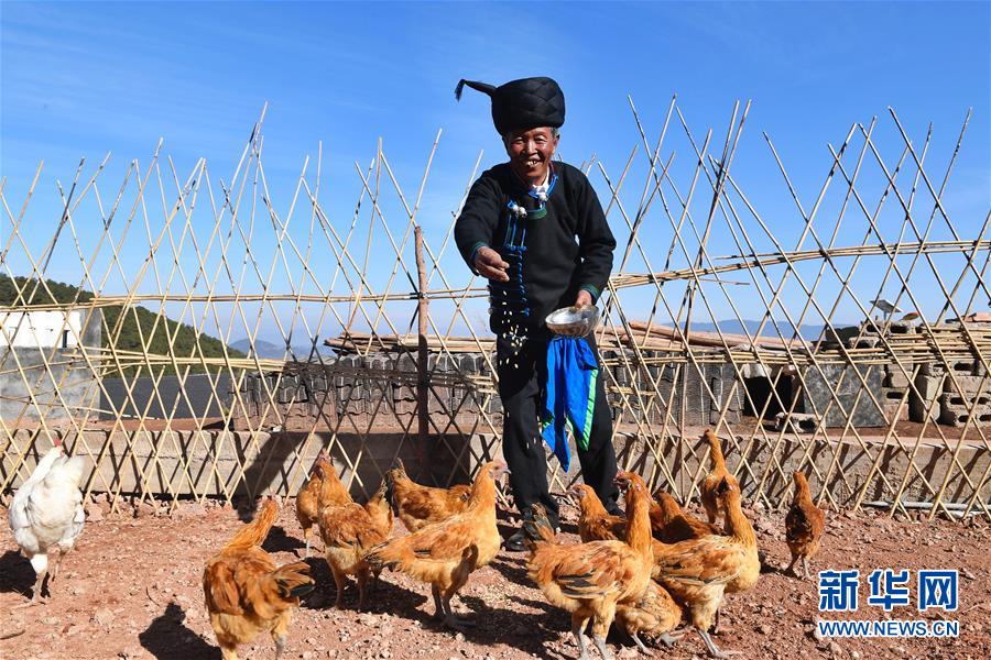 (新華全媒頭條·奮進新時代·迎接兩會特別報道·圖文互動)(5)新征程,向著偉大夢想前進——從黨的十九大到2018年全國兩會