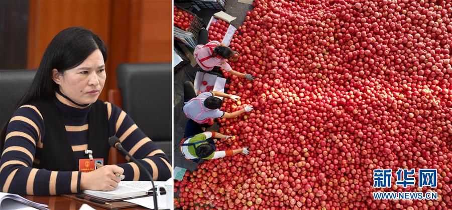 (兩會·影像鏈接)全國人大代表曾云英:新型農業(yè)將迎來高質量發(fā)展的機遇