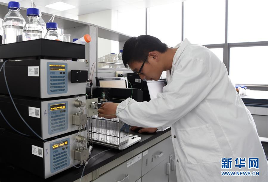 (在習(xí)近平新時代中國特色社會主義思想指引下·將改革開放進行到底·強國之基)(新華全媒頭條·圖文互動)(8)奮斗不停步 改革再出發(fā)——“四個自信”筑牢強國之基