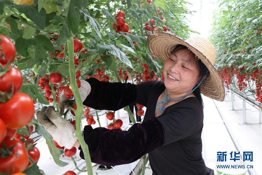 (兩會前夕看落實·圖文互動)(8)奮力脫貧攻堅 生態追“清”逐“綠”——江西落實習近平總書記全國兩會重要講話精神紀實