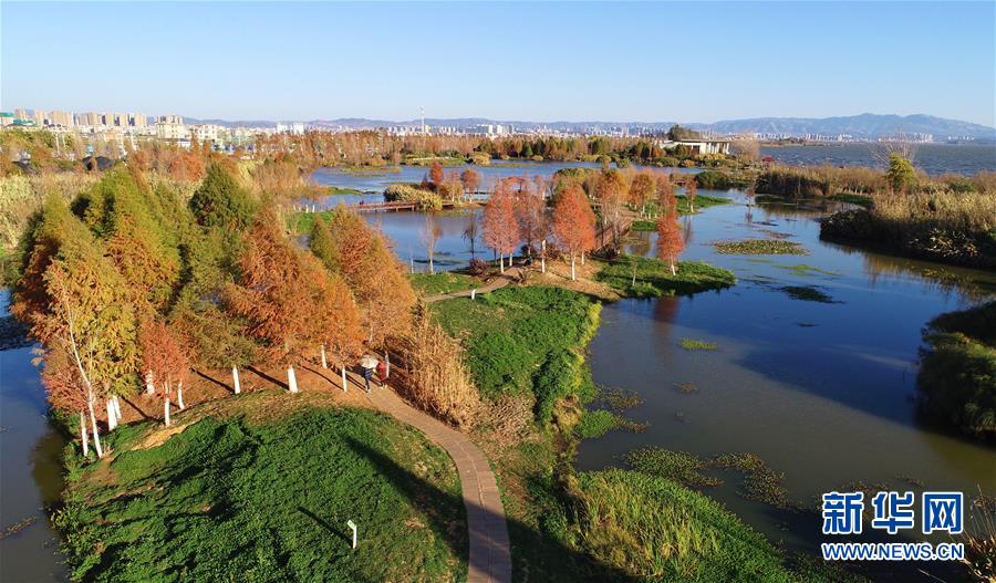 (在習近平新時代中國特色社會主義思想指引下——新時代新作為新篇章·圖文互動)(5)高原春來早 云嶺開新篇