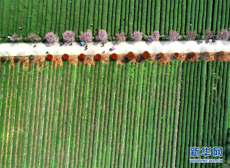 (新華全媒頭條·兩會精神看落實·圖文互動)(3)保持戰略定力 跨越重要關口——落實兩會精神加強生態文明建設述評