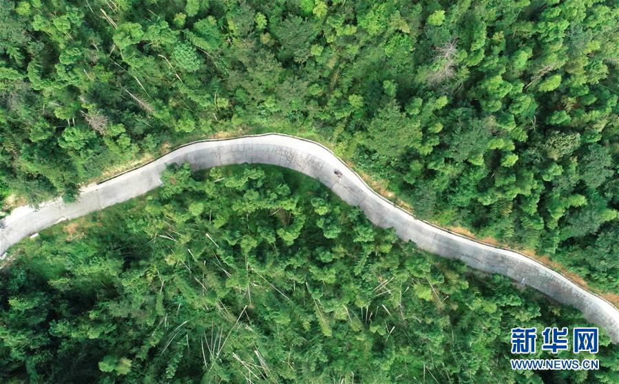 (中國(guó)網(wǎng)事·感動(dòng)2019·圖文互動(dòng))(7)鄉(xiāng)村教師高自仁:60多根拐杖,撐起42年教學(xué)路