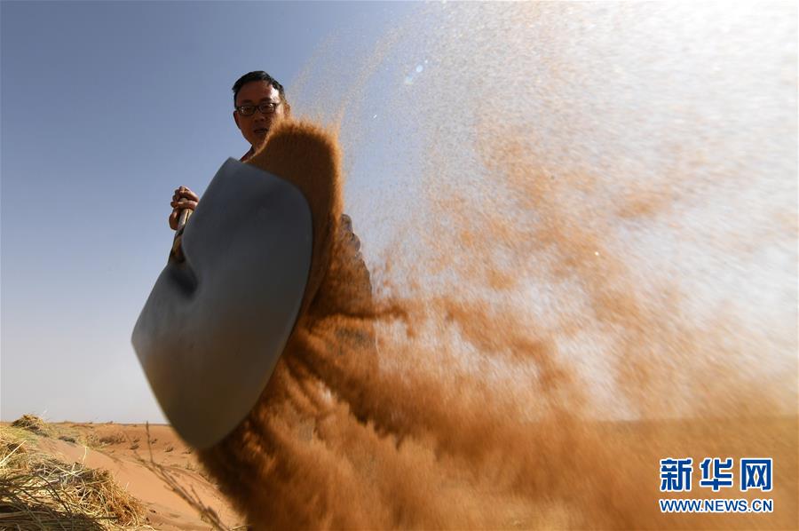 (新華全媒頭條·圖文互動(dòng))(5)八步沙·六老漢·三代人