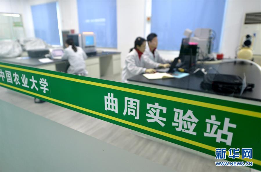 （愛(ài)國(guó)情 奮斗者·圖文互動(dòng)）（3） “解民生之多艱，育天下之英才”——中國(guó)農(nóng)大師生扎根田野書寫奉獻(xiàn)之歌
