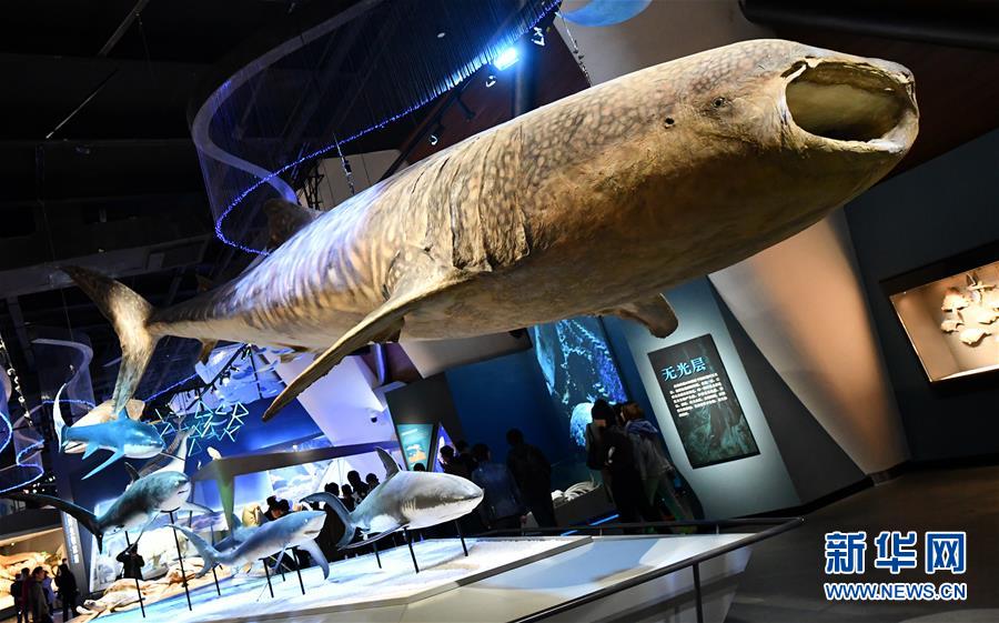 (社會(huì))(6)國家海洋博物館5月1日試運(yùn)行