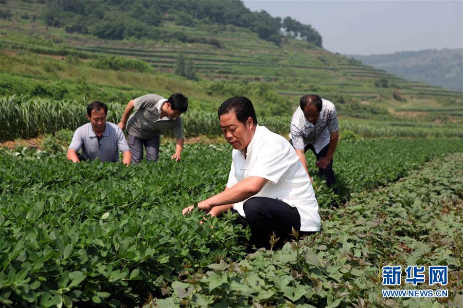 (新華全媒頭條·圖文互動)(1)讓奮斗成為人生最亮麗的底色——寫在2019年“五一”國際勞動節(jié)到來之際