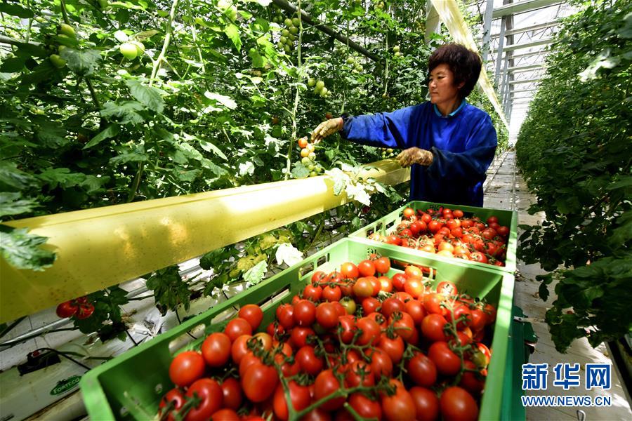 (新華全媒頭條·圖文互動)(6)屹然砥柱立中流——“今日之中國”系列述評之二
