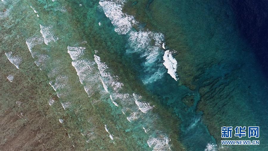 (壯麗70年·奮斗新時代·新華全媒頭條·圖文互動)(2)“你在我的航程上,我在你的視線里”——走進海軍西沙中建島官兵的五彩世界