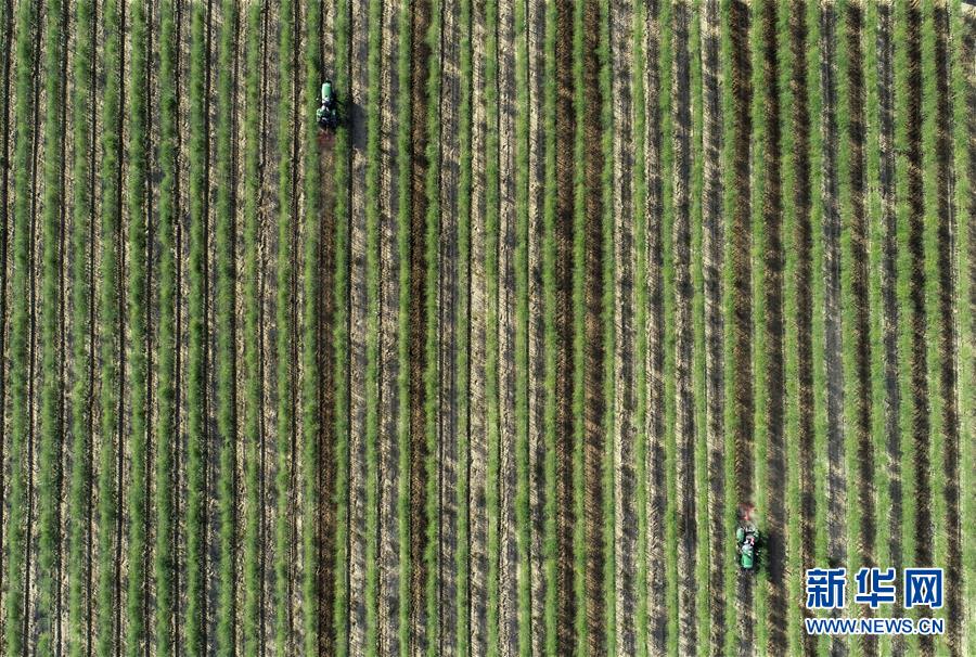 (新華全媒頭條·壯麗70年·奮斗新時(shí)代·圖文互動(dòng))(8)中國減貧的西海固報(bào)告