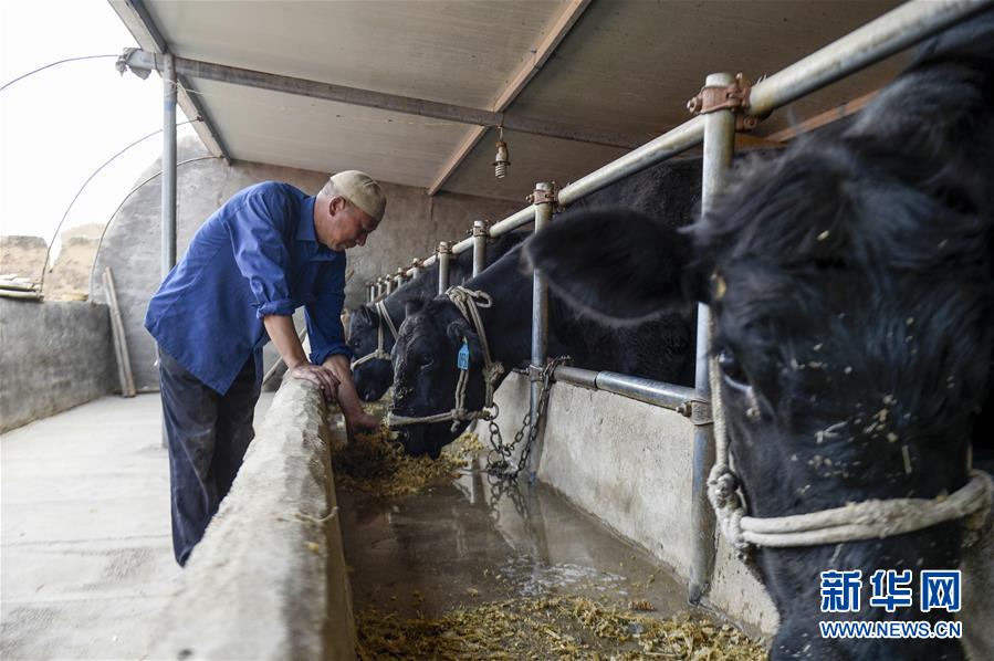 (新華全媒頭條·壯麗70年·奮斗新時(shí)代·圖文互動(dòng))(10)中國減貧的西海固報(bào)告