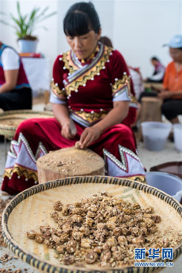 (直過民族脫貧攻堅·圖文互動)(5)下山!傈僳群眾開啟新生活