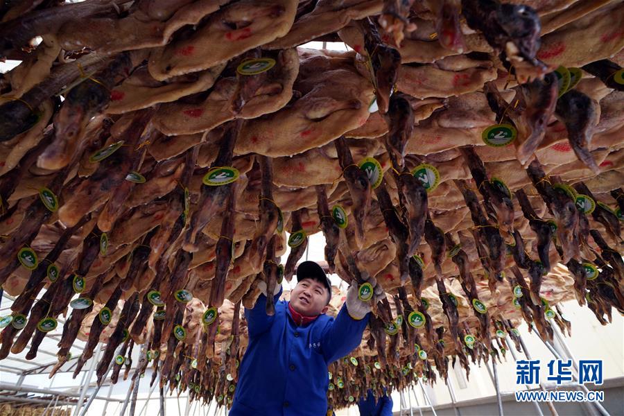 (壯麗70年·奮斗新時代——共和國發展成就巡禮·圖文互動)(3)人民至上的生動實踐——共和國民生發展成就巡禮