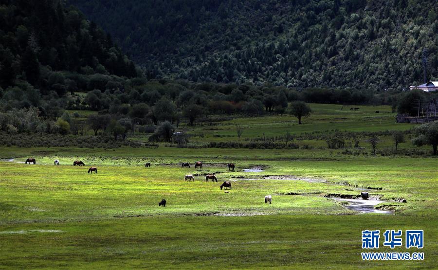 (新華全媒頭條·決戰決勝脫貧攻堅·圖文互動)(7)為了人與自然和諧共生——云南“三江并流”地區決戰精準脫貧的“生態畫卷”