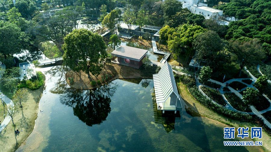 (新華全媒頭條·圖文互動)(5)敢為人先開新路——深圳全面開啟“先行示范區(qū)”建設(shè)進程