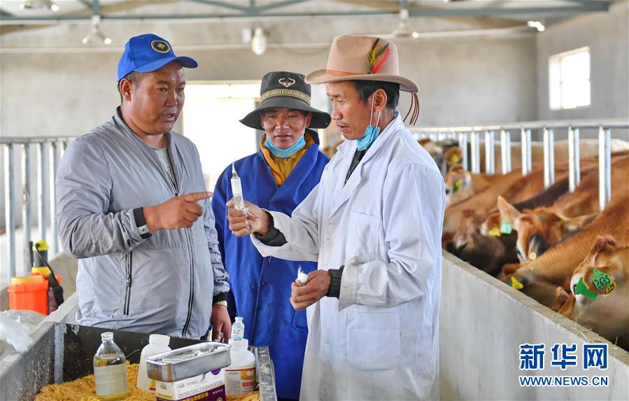 (新華全媒頭條·決戰決勝脫貧攻堅·圖文互動)(4)歷史的決戰 偉大的創舉——“世界屋脊”上的反貧困奇跡