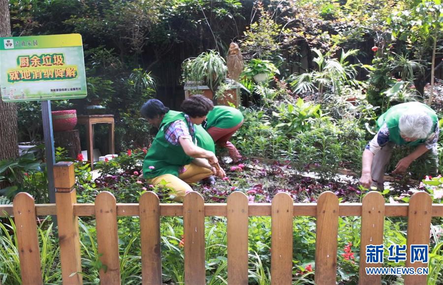 (新華全媒頭條·圖文互動(dòng))(4)上海:“三只桶”里看變化