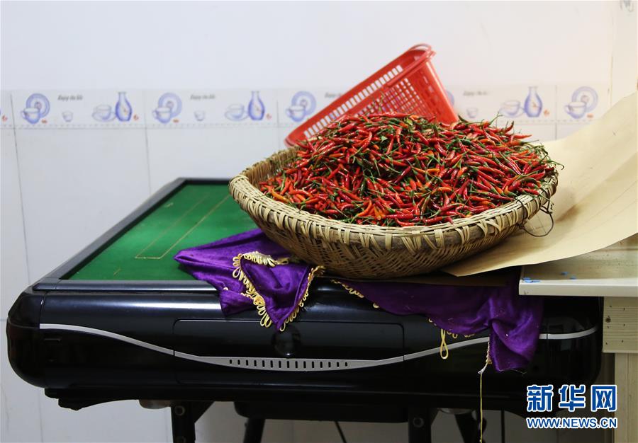 (四中全會精神在基層·圖文互動)(2)特寫:麻將桌“失業”記