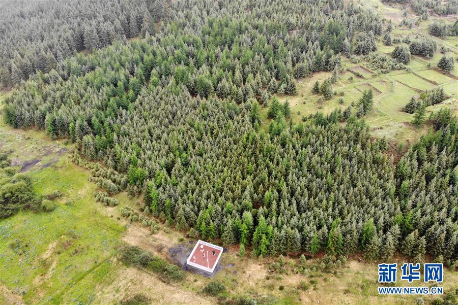 (新華全媒頭條·圖文互動)(11)綠色的啟示——西部地區生態問題典型個案再調查