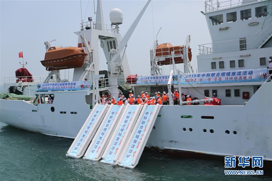 （新華全媒頭條·圖文互動）（3）溫故知新，開辟未來——第八次中日韓領導人會議解讀