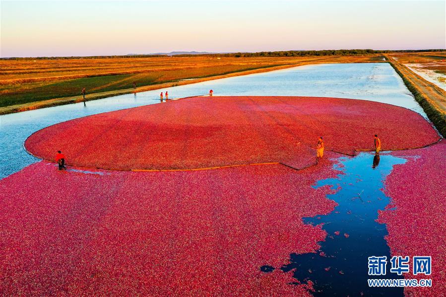 (圖文互動)(9)從“輕工漁網(wǎng)重工馬掌”到“圓夢小康”——“中國東極”脫貧攻堅剪影