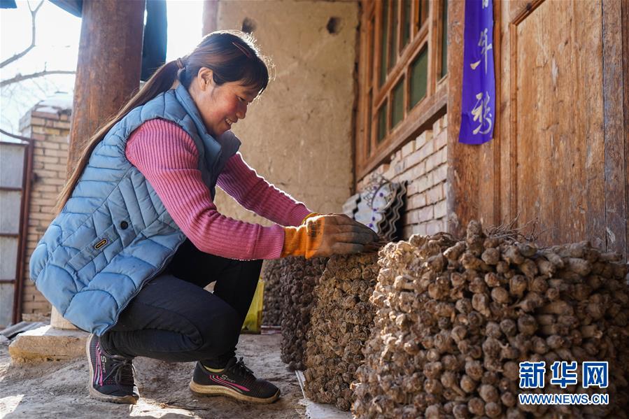 （聚焦疫情防控·圖文互動）（3）一心防疫，一心脫貧——一心村的防疫一天