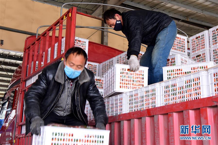 (聚焦疫情防控·圖文互動(dòng))(5)吃的東西充足,做點(diǎn)花樣菜吧!——中部地區(qū)最大農(nóng)產(chǎn)品批發(fā)市場(chǎng)見聞