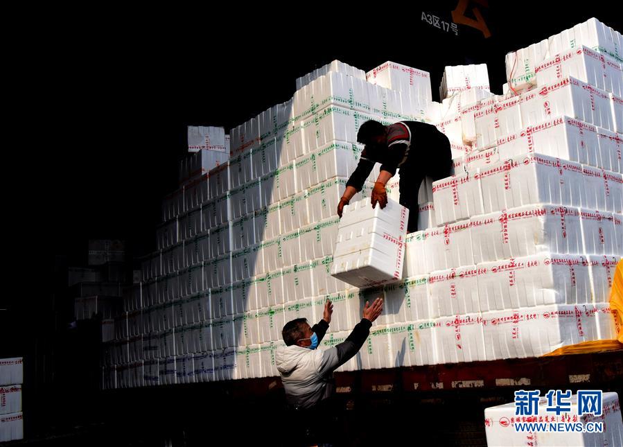 (聚焦疫情防控·圖文互動(dòng))(4)吃的東西充足,做點(diǎn)花樣菜吧!——中部地區(qū)最大農(nóng)產(chǎn)品批發(fā)市場(chǎng)見聞