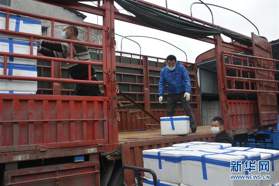 (做好六穩工作 應對復雜局面·圖文互動)(3)穩住“菜籃子” 守住“好日子”