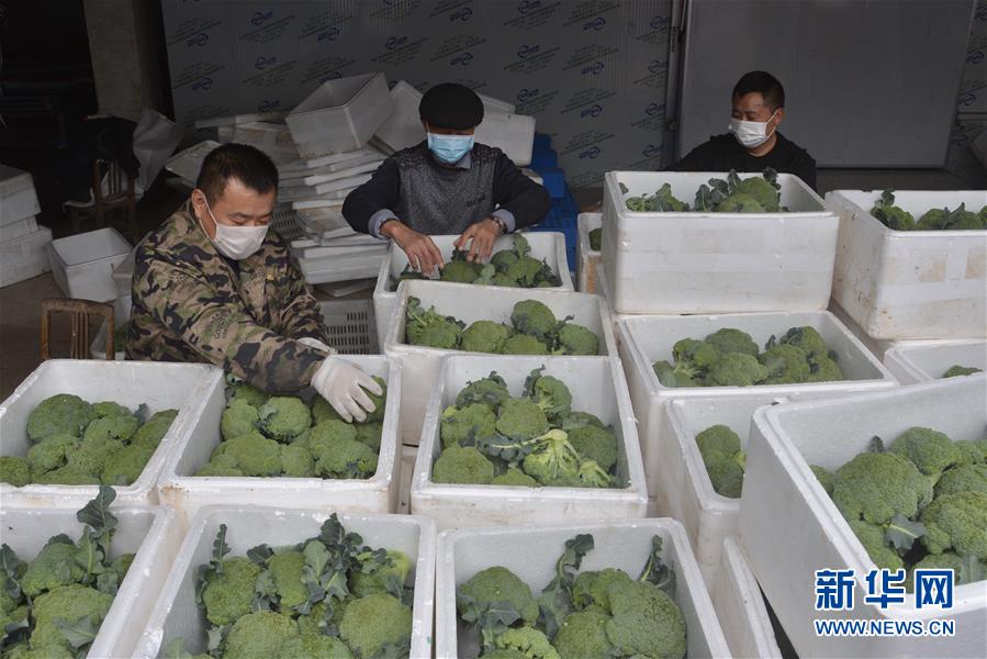 (做好六穩工作 應對復雜局面·圖文互動)(2)穩住“菜籃子” 守住“好日子”