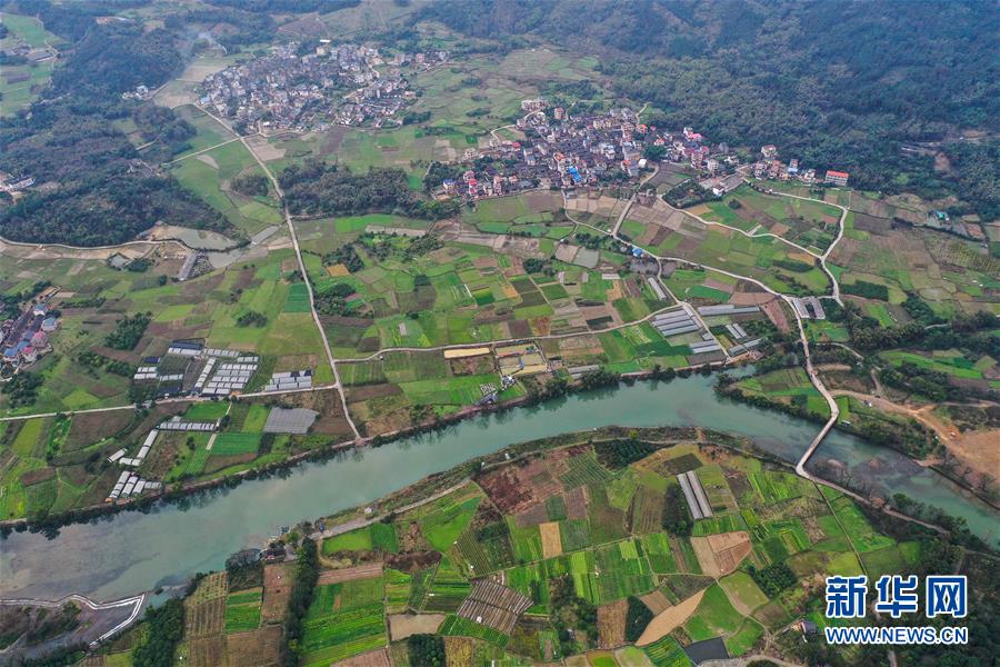 (圖文互動)(1)廣西桂林:“借力+接力”新鮮蔬菜進社區