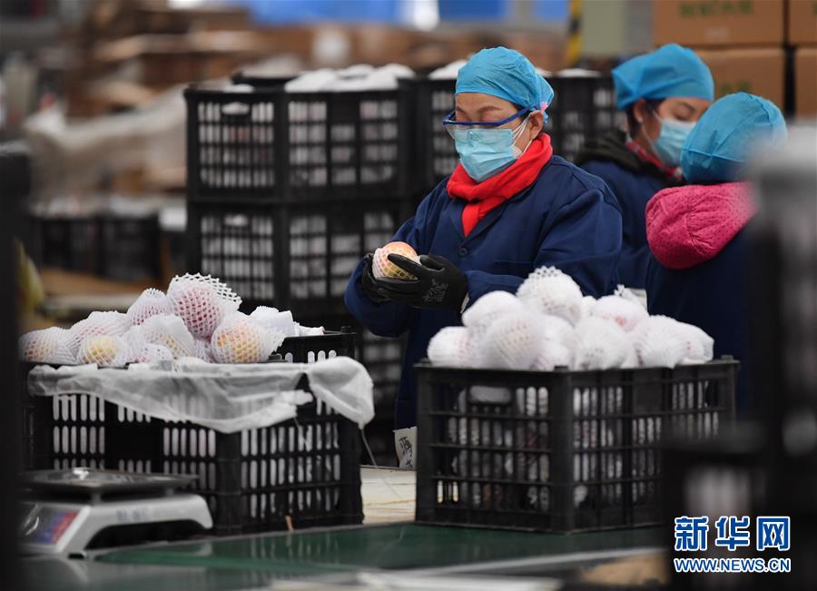 （聚焦疫情防控·圖文互動）（4）“一輛輛車出發，春暖花開的日子就不遠了”——西北電商大縣陜西省武功縣復工見聞