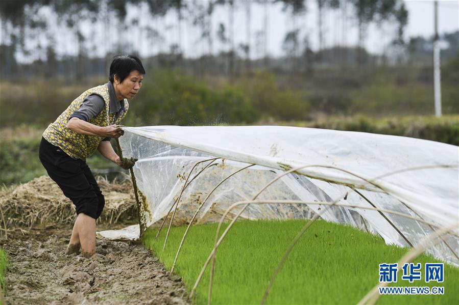 (圖文互動)(2)“早一天復工,損失就少一點”——廣西以精準防控推動復工復產一線見聞