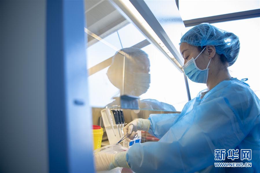 (一線抗疫群英譜·圖文互動)(3)“90后”檢驗員張慧變:每個樣本都是一份沉甸甸的責(zé)任
