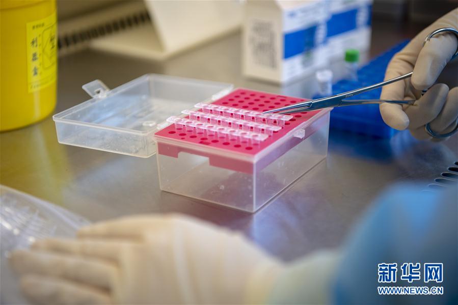 (一線抗疫群英譜·圖文互動)(4)“90后”檢驗員張慧變:每個樣本都是一份沉甸甸的責(zé)任