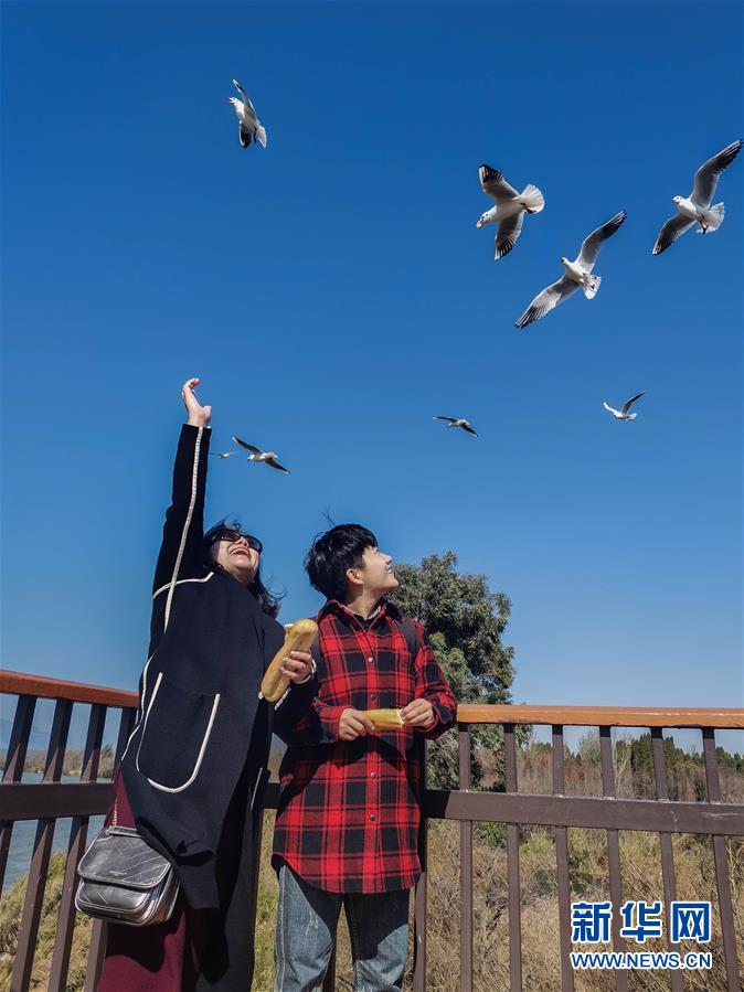 (一線抗疫群英譜·圖文互動(dòng))(1)大學(xué)生志愿者譚藝西:在武漢,我和媽媽共戰(zhàn)“疫”