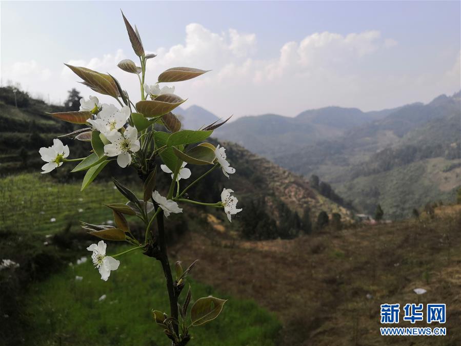 (決戰決勝脫貧攻堅·圖文互動)(1)寄相思,償夙愿——5封清明“家書”里的決戰決勝信念