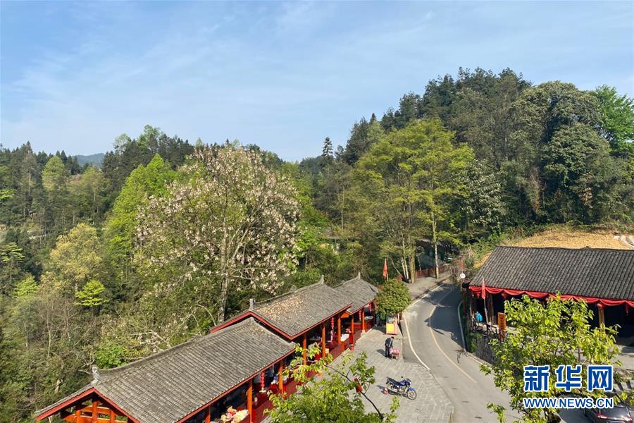 (決戰(zhàn)決勝脫貧攻堅·圖文互動)(1)深山苗寨的別樣春天——疫情下的十八洞村見聞