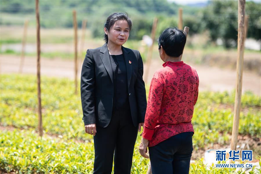 (圖文互動)(4)扶貧干部唐華容:治疾病也治“窮病”
