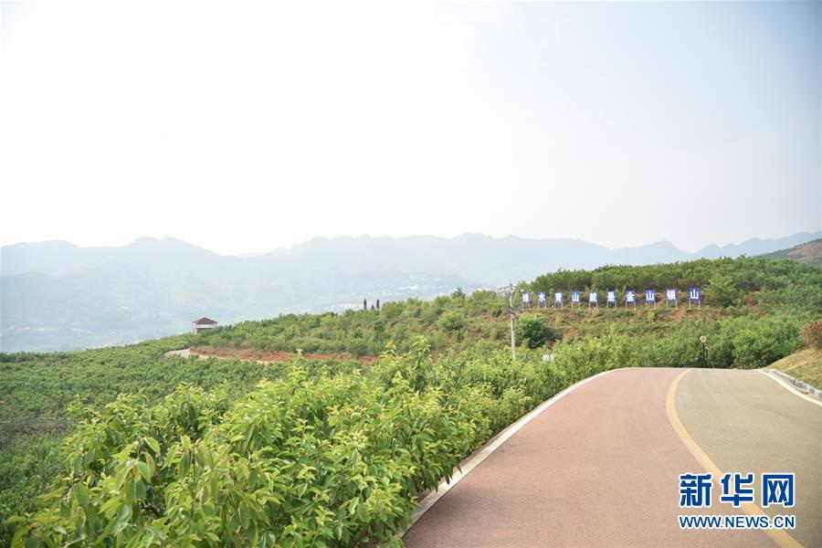 (決戰決勝脫貧攻堅·圖文互動)(2)烏蒙山農民的笑臉——貴州脫貧攻堅一線采訪隨筆