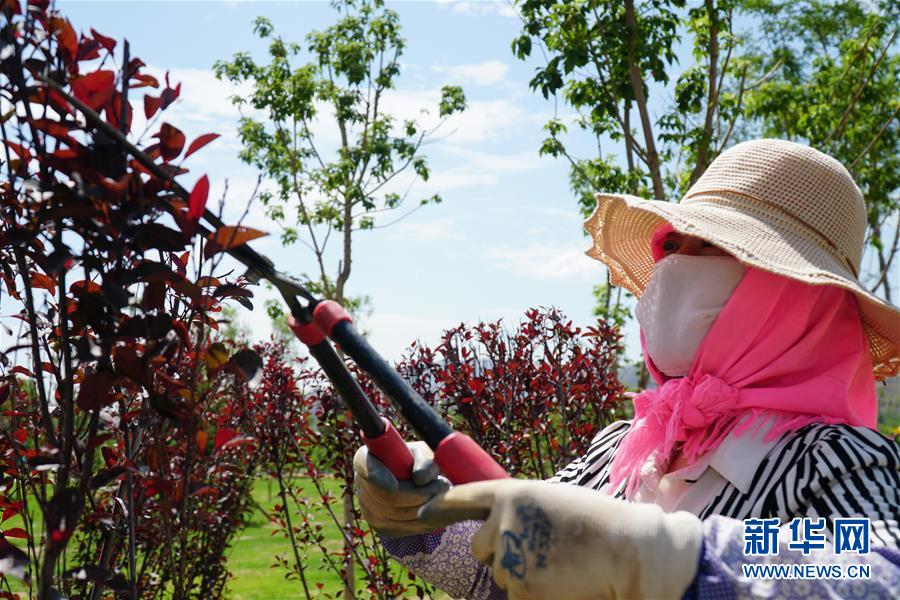 （決戰決勝脫貧攻堅·圖文互動）（2）李三姐有了“美”差事