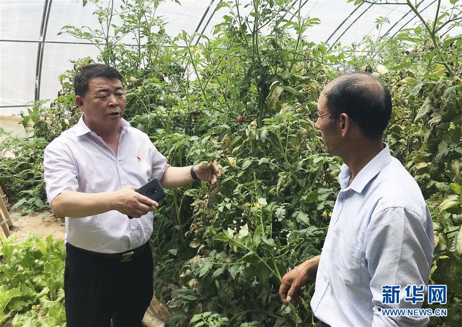 (決戰(zhàn)決勝脫貧攻堅·圖文互動)(2)魚漁兼授 志智雙扶——窮溝溝“菜富記”