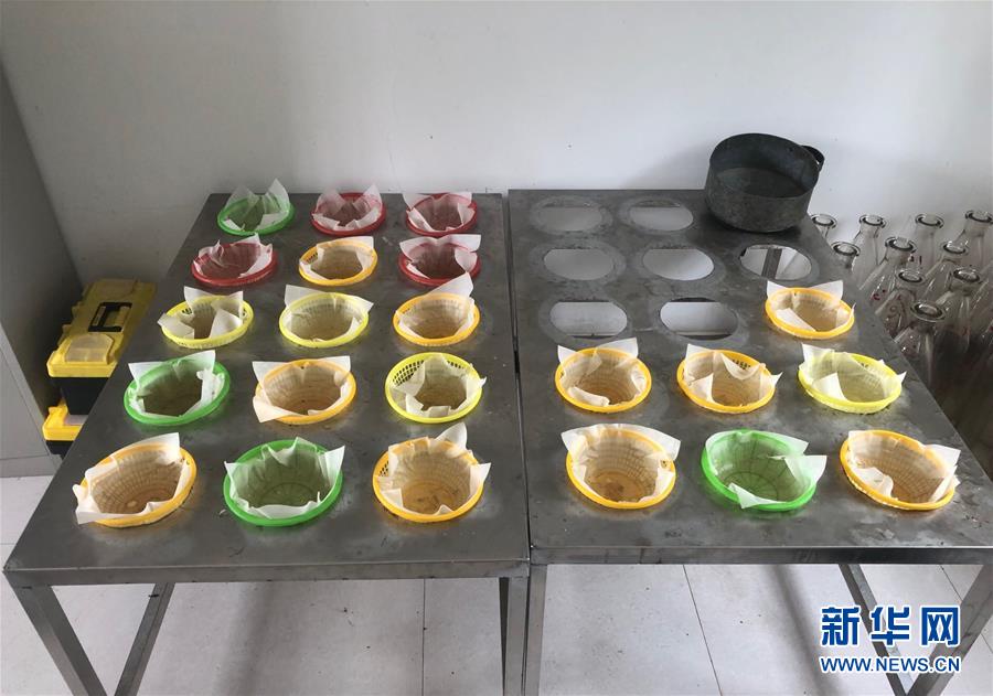 (留資)暴雨洪峰中的“瞭望者”