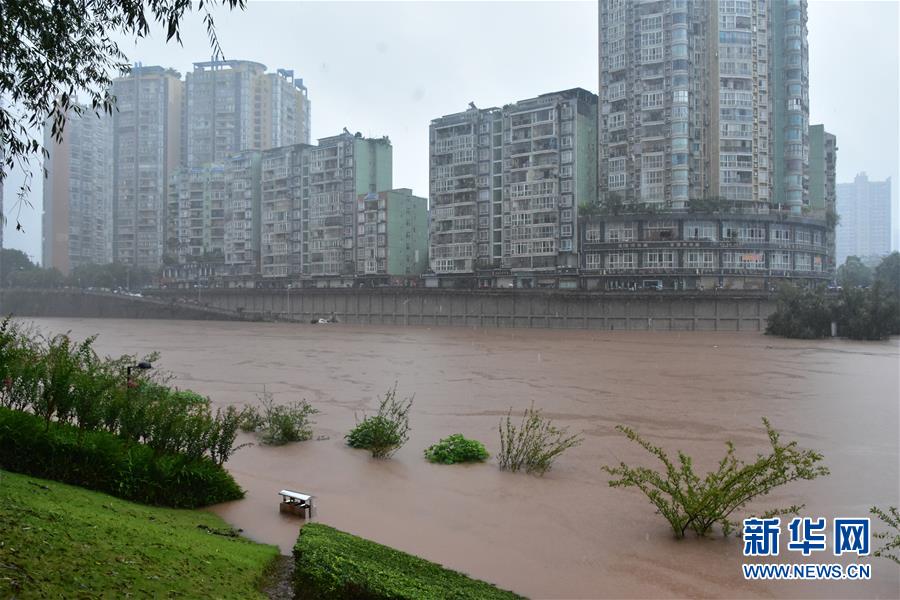 (圖文互動)(4)重慶6個區縣降暴雨 榮昌瀨溪河出現超保證水位洪水